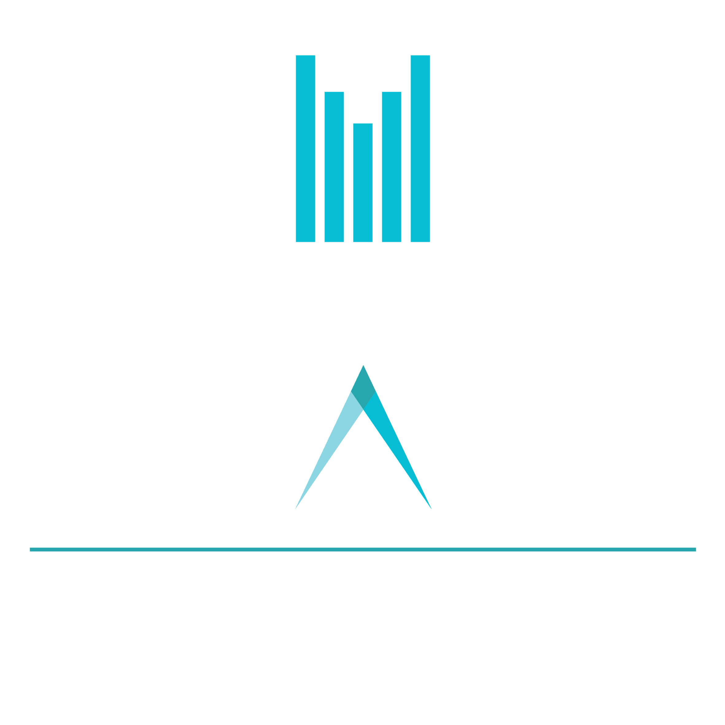 Millennium-Place-Marina2